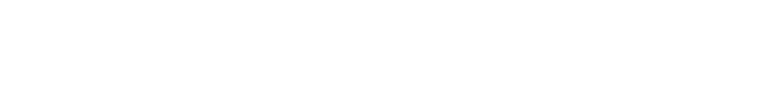 翼をもった相棒だ